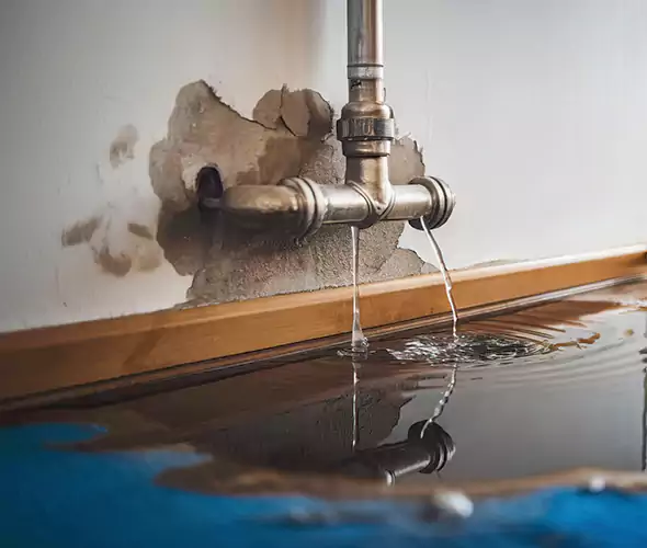 Professional Water Damage Restoration Experts in Lantana, FL — Fast, Reliable & Certified