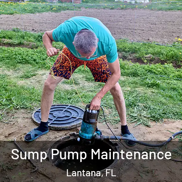  Sump Pump Maintenance Lantana, FL